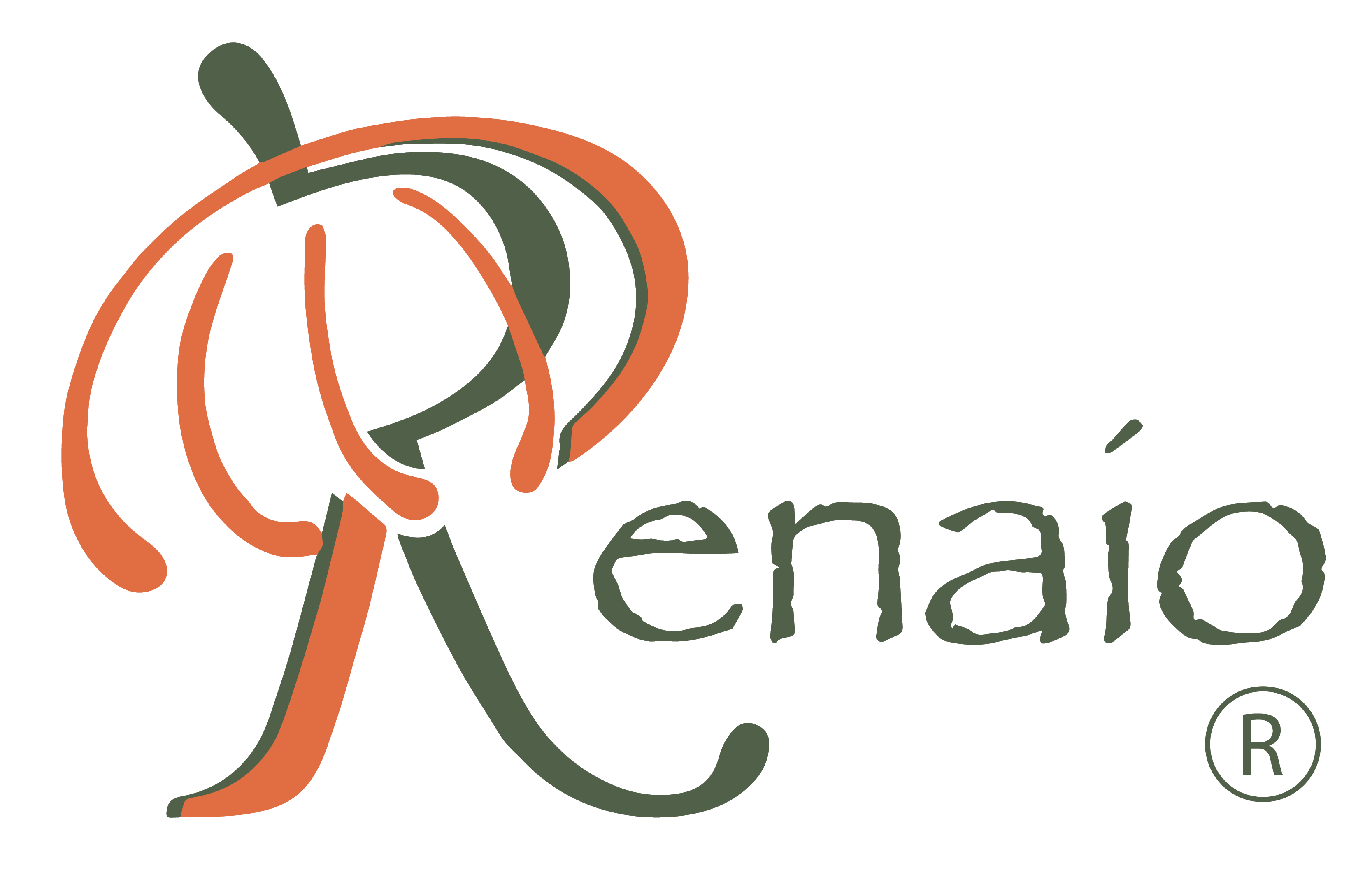 logo renaio